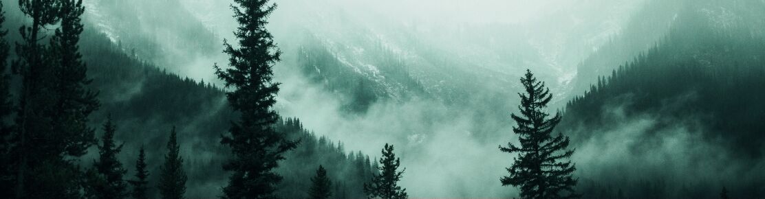 Mechanical cleaning processes suitable for sensitive parts